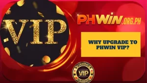 Why Upgrade to Phwin VIP